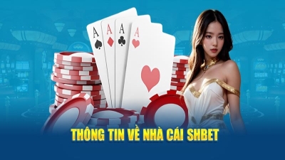 SHbet - Tuyệt đỉnh sân chơi cá cược hot nhất Châu Á